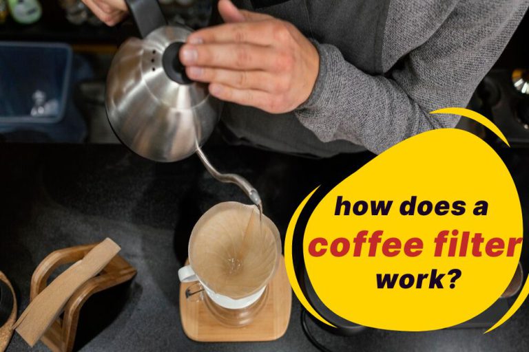 A Close Look at Coffee Filters and Their Differences (Paper, Metal, Cloth)