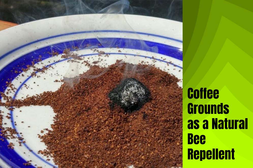 Coffee Grounds as a Natural Bee Repellent