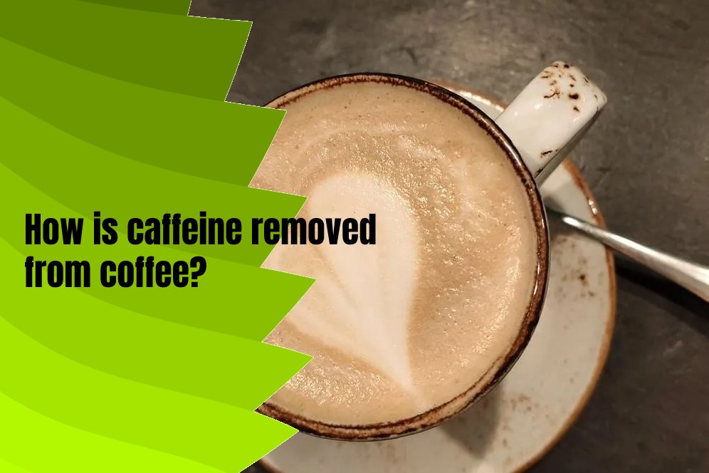 How is caffeine removed from coffee?