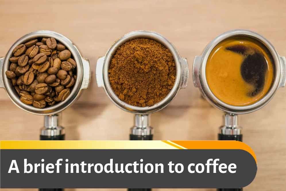 A brief introduction to coffee