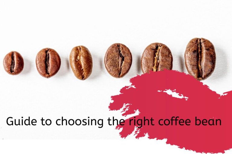 How Many Types Of Coffee Beans Are There? [Review]