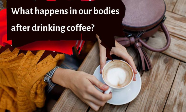What happens in our bodies after drinking coffee