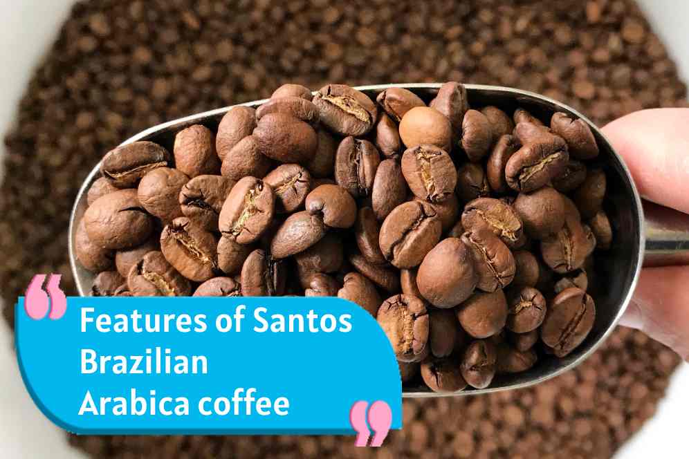 Features of a high-quality Brazil Santos coffee