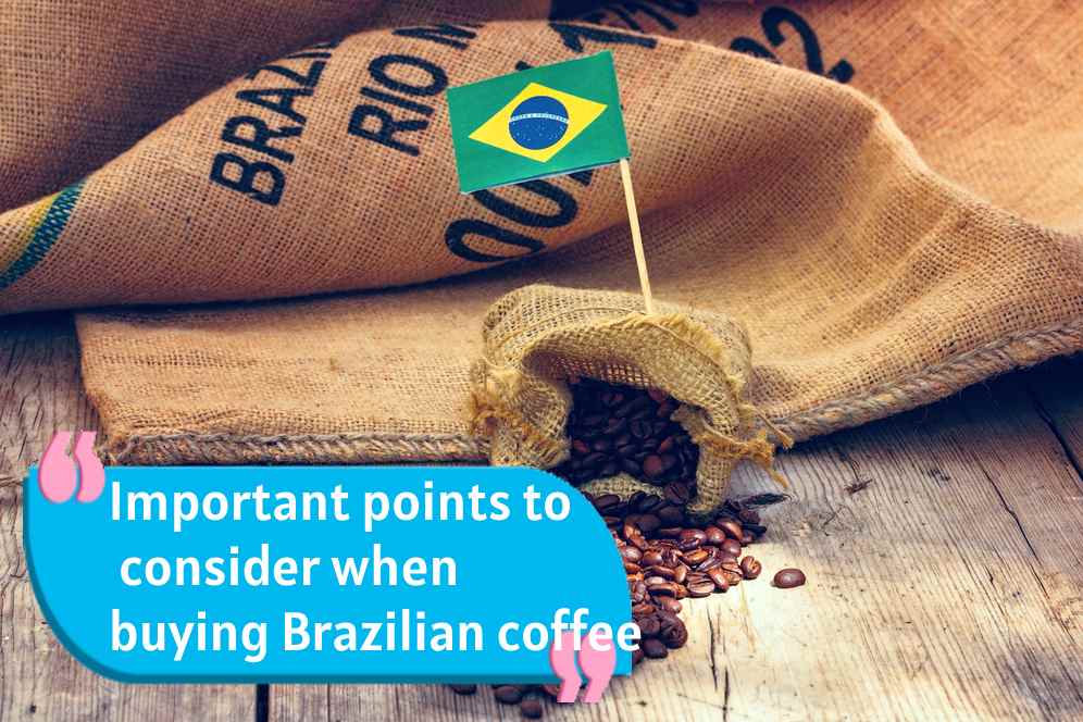 Important points to consider when buying Brazilian coffee