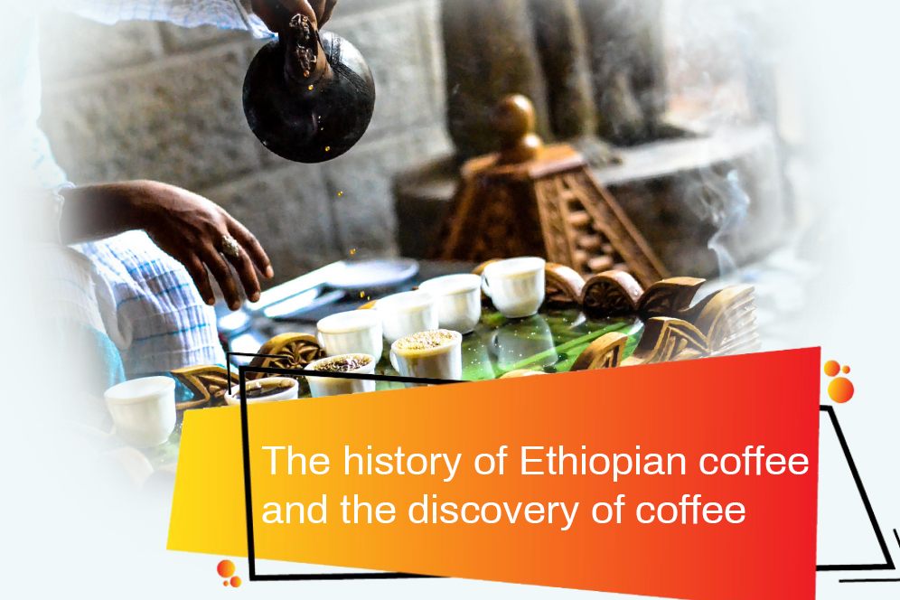 The history of Ethiopian coffee and the discovery of coffee
