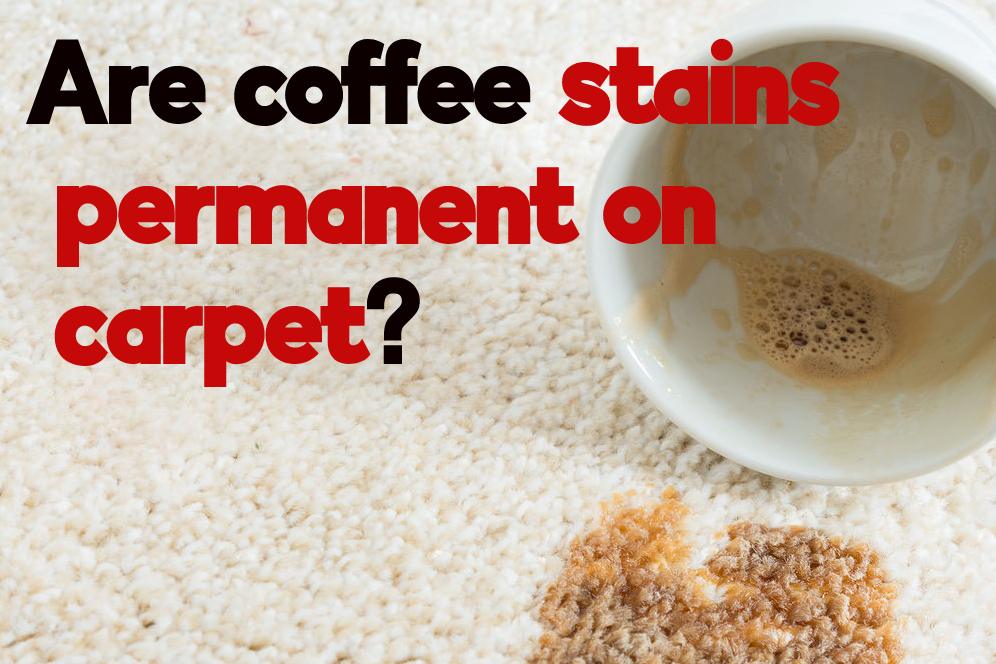 Are coffee stains permanent on carpet?