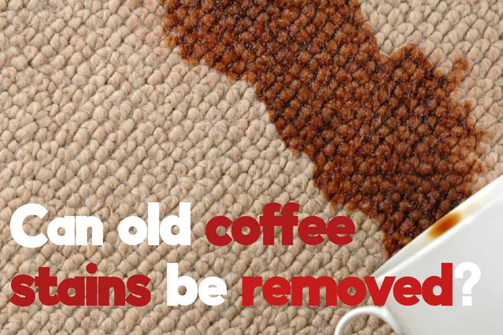 how-to-get-coffee-stain-out-of-carpet-easy-and-quick-method