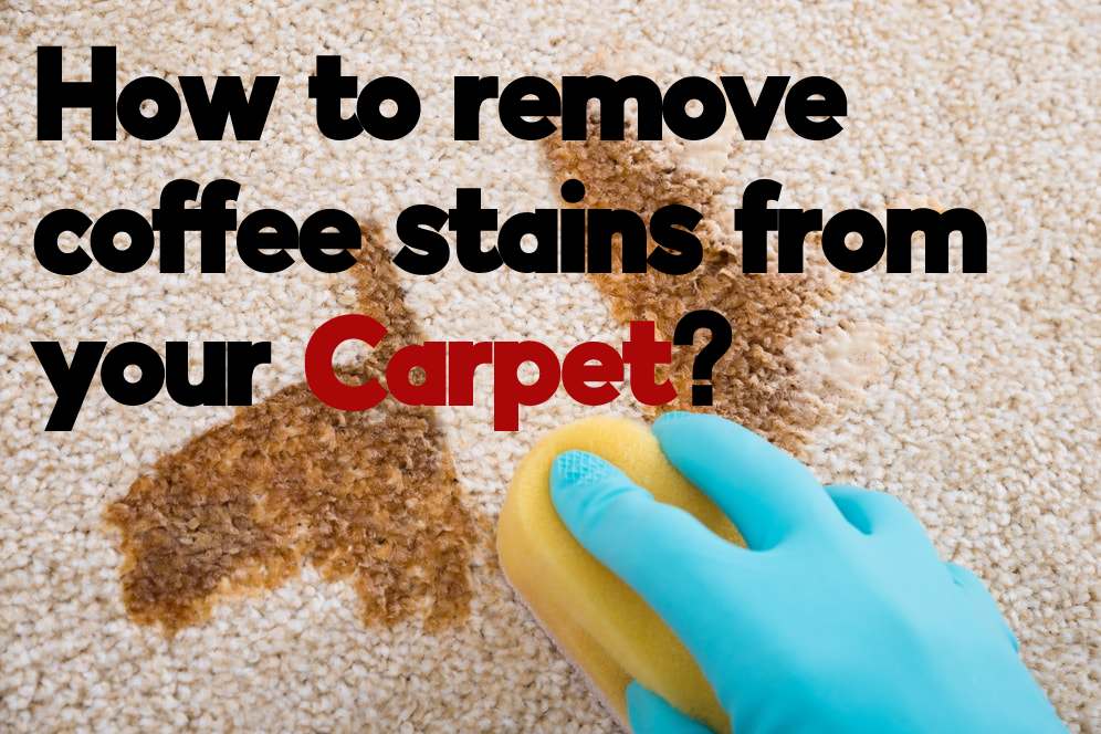 How To Get Coffee Stain Out Of Carpet Easy And Quick Method