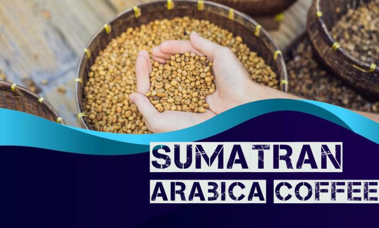 Sumatra Arabica Coffee Beans
