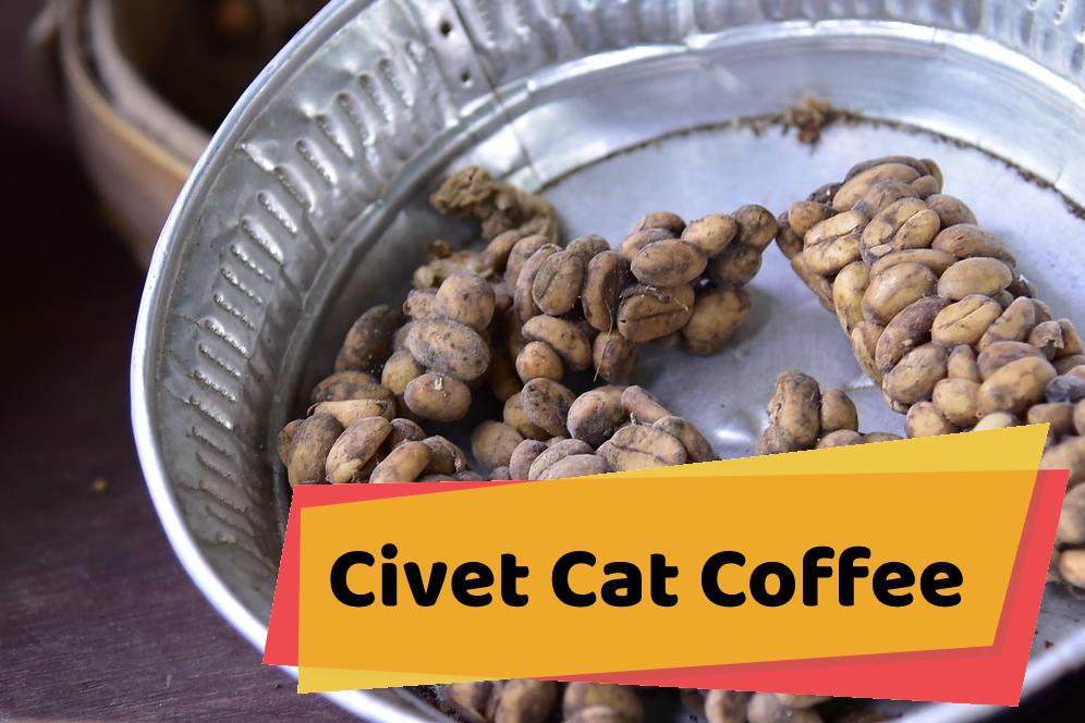 Civet Cat Coffee