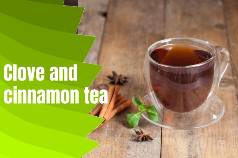 Embracing the Diversity of Warm Drinks Beyond Coffee