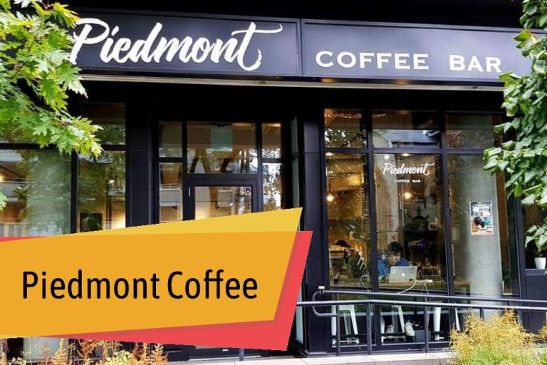 Navigating Toronto's Coffee Culture at Its Finest Cafes