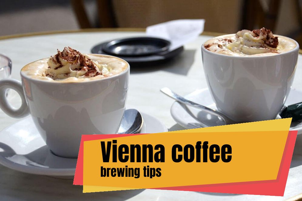 Vienna coffee brewing tips
