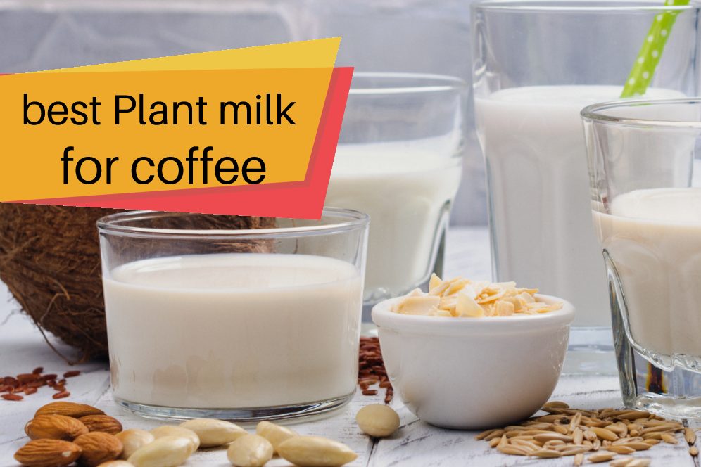 best Plant milk for coffee