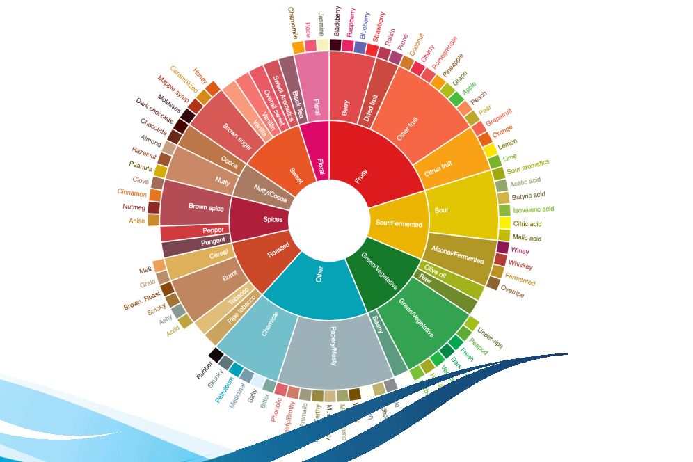 Understanding Coffee Flavor - All About The Coffee Flavor And Aroma Cycle