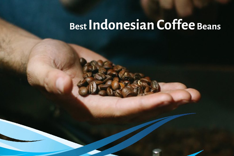 From Sumatra to Sulawesi: A Quest for the Best Indonesian Coffee Varieties