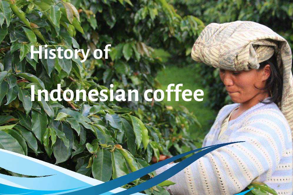 History of Indonesian coffee