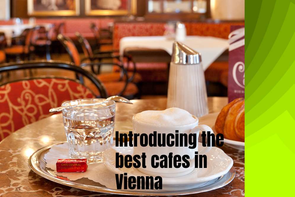 Introducing the best cafes in Vienna