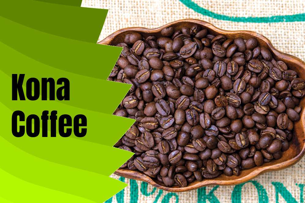 Kona Coffee; The World's Most Expensive Coffee (What Makes it Different