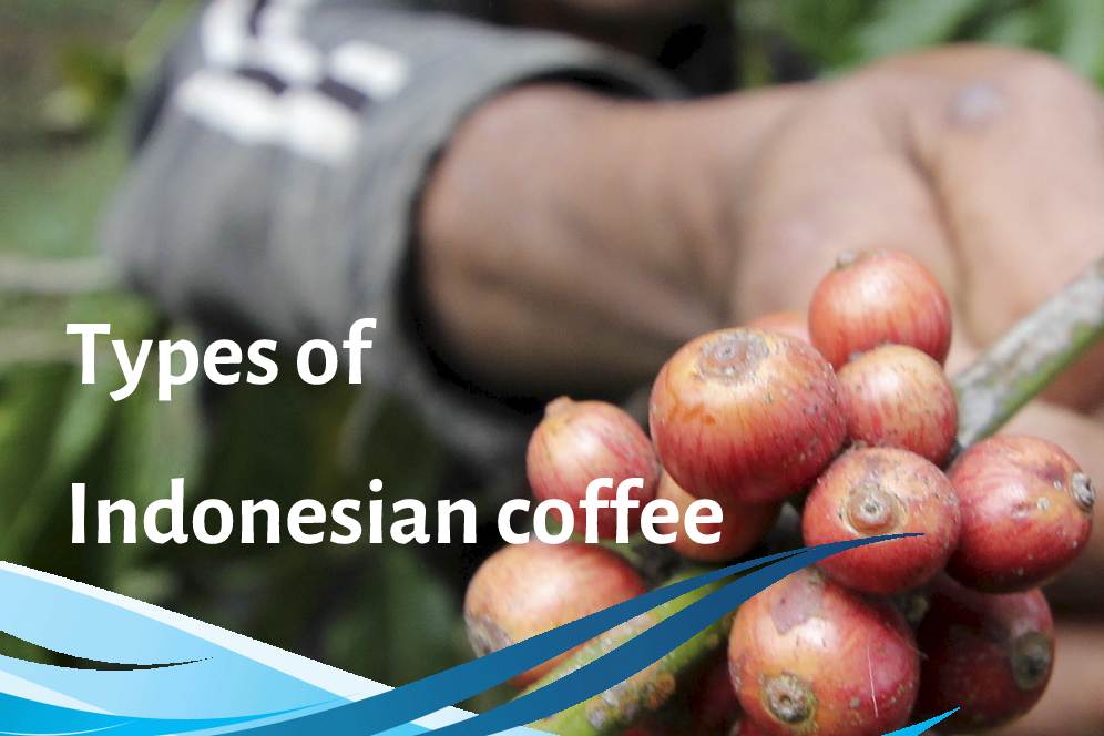 Types of Indonesian coffee