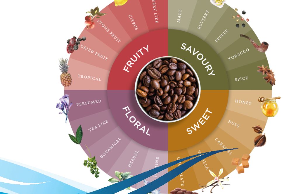 Understanding Coffee Flavor - All About The Coffee Flavor And Aroma Cycle