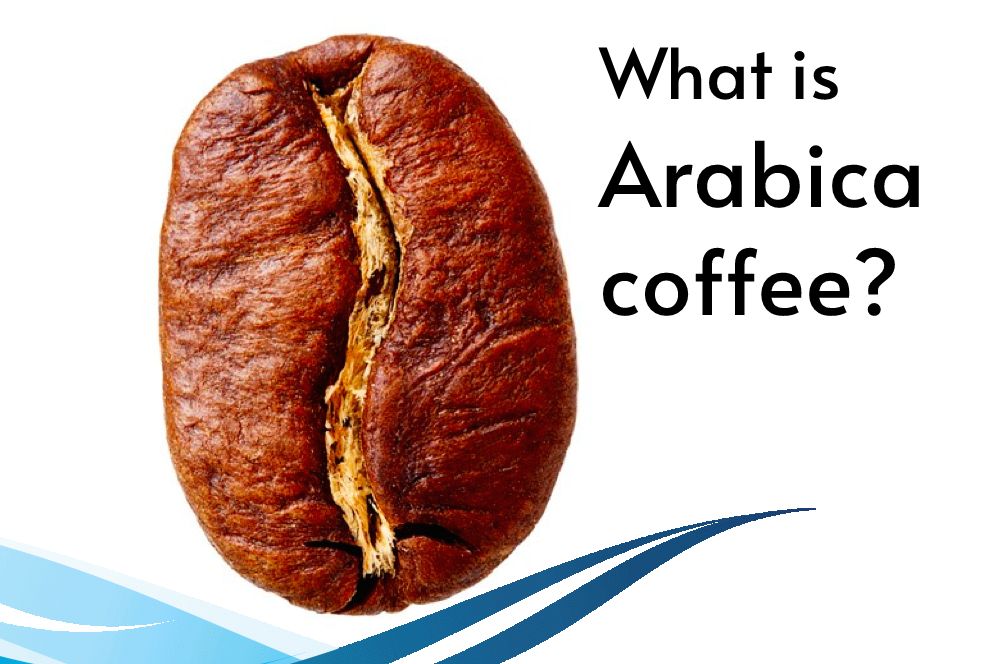 What is Arabica coffee?
