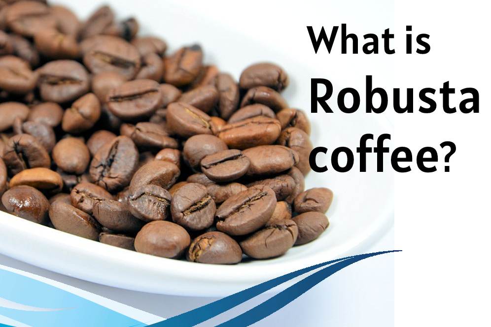 What is Robusta coffee?
