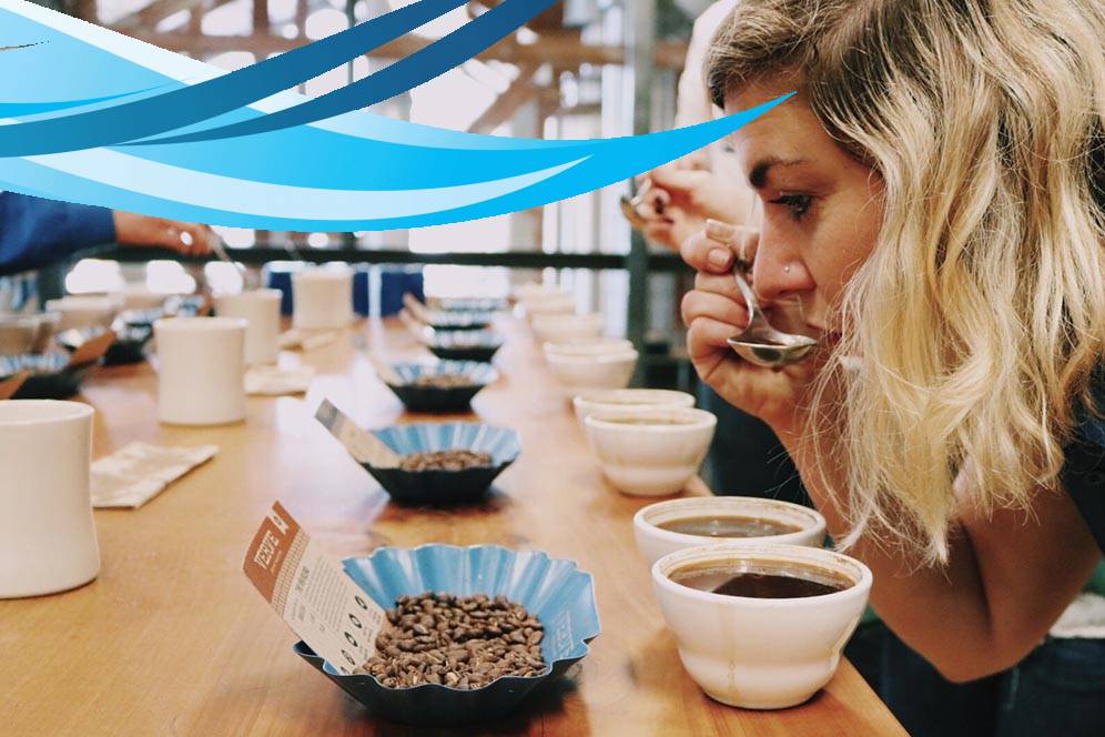 What is a coffee cupping score?