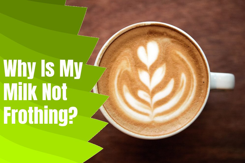 https://typescoffee.com/wp-content/uploads/2022/10/Why-Is-My-Milk-Not-Frothing_.jpg