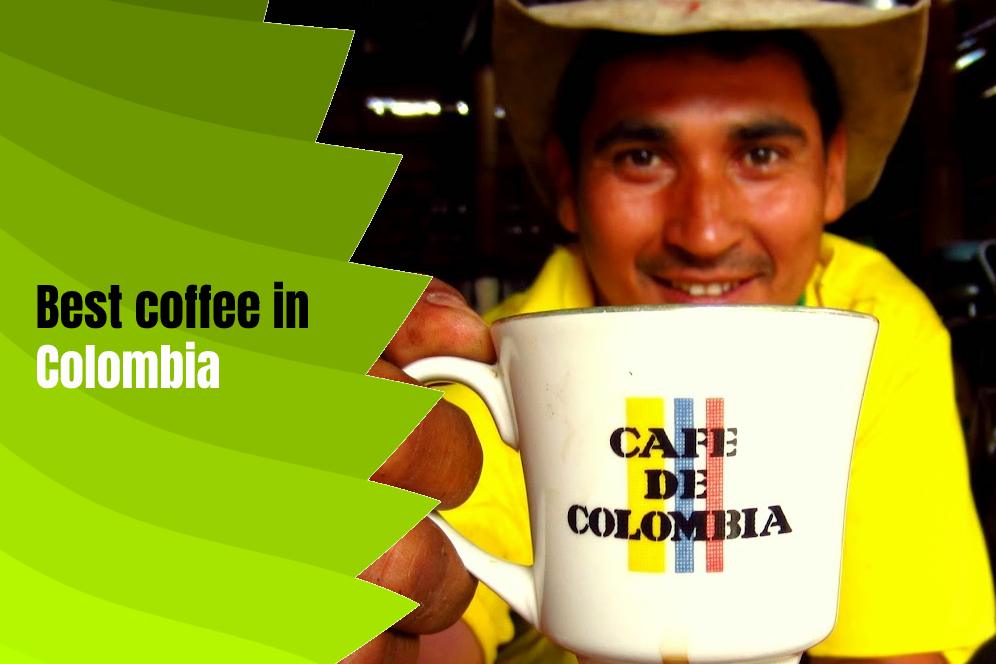Coffee In Colombia Embarking on a Flavorful Expedition through Coffee