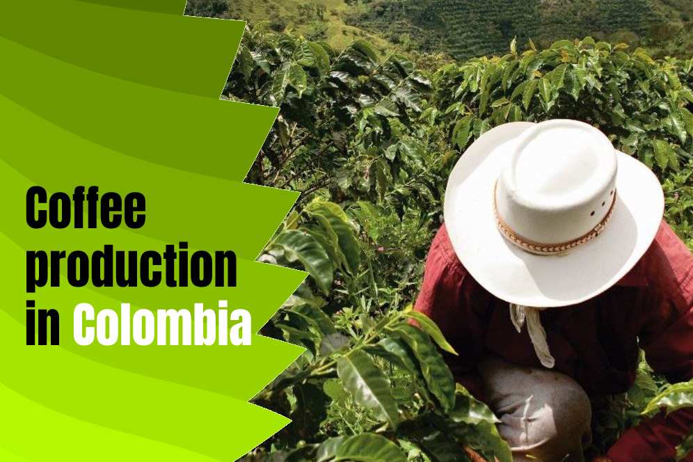 Coffee production in Colombia
