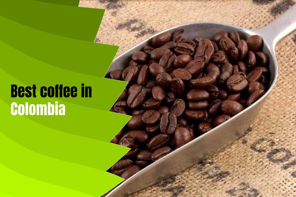 Coffee In Colombia Embarking on a Flavorful Expedition through Coffee