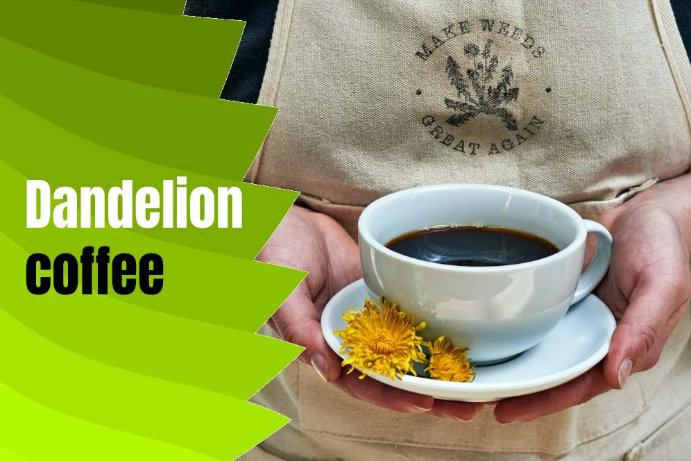 Dandelion Root Coffee Recipe