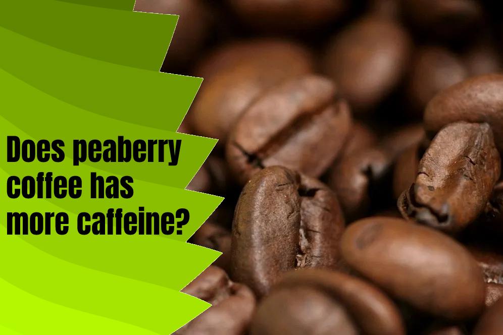 Does peaberry coffee has more caffeine?
