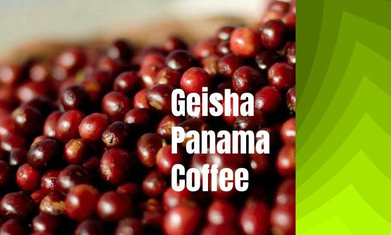 Geisha Panama Coffee
