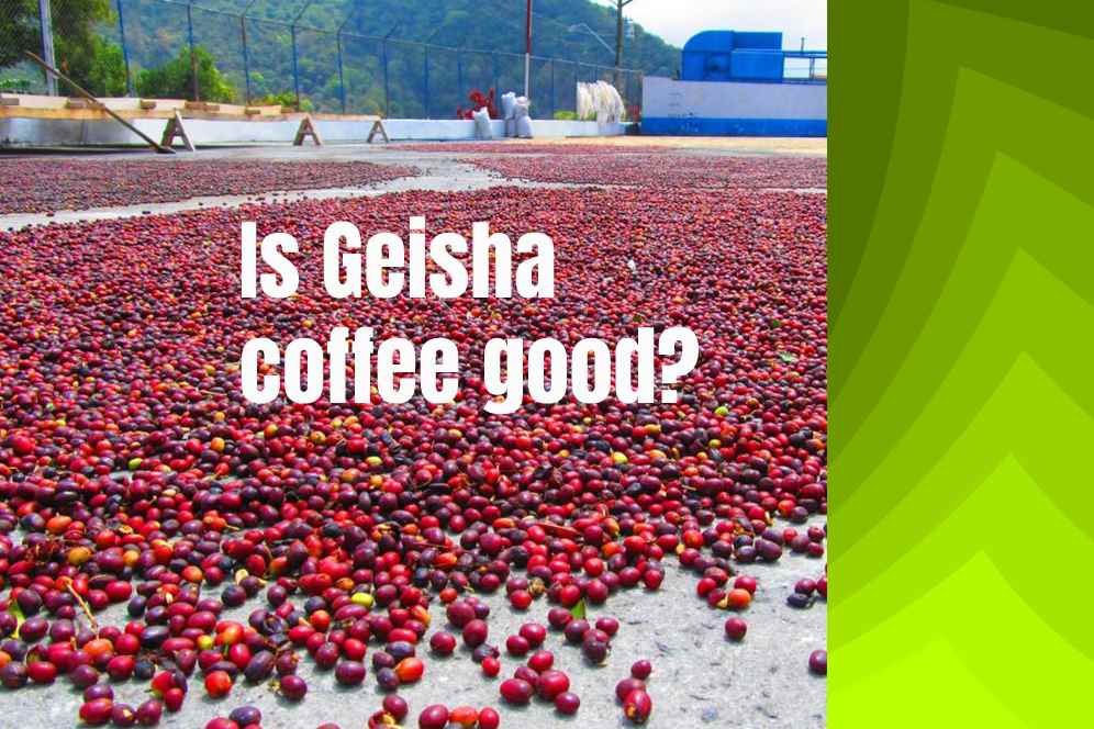 Is Geisha coffee good?