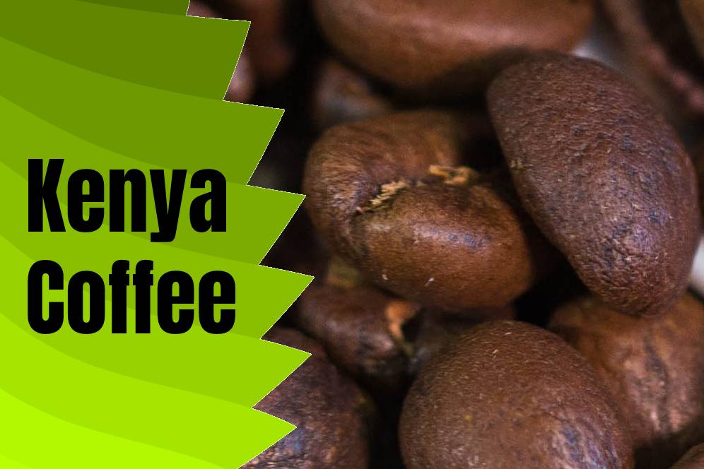 Kenya Coffee Beans (Buying Guide, Brewing Tips & Taste) typescoffee