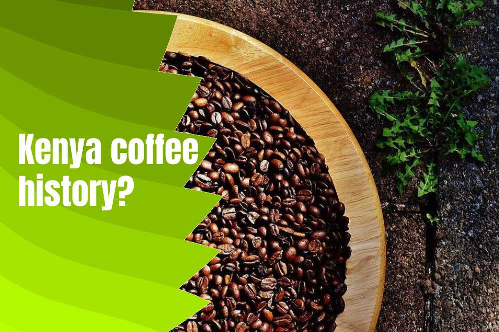 Kenya Coffee Beans (Buying Guide, Brewing Tips & Taste) typescoffee