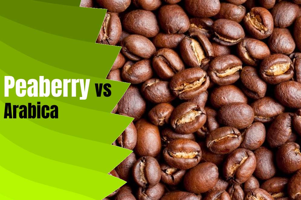 Peaberry Coffee (Caffeine Level, Acidity And Benefits) Pb Coffee Beans