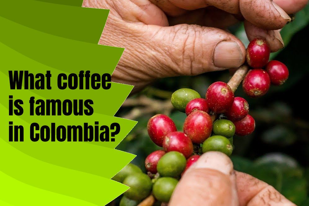 What coffee is famous in Colombia? 