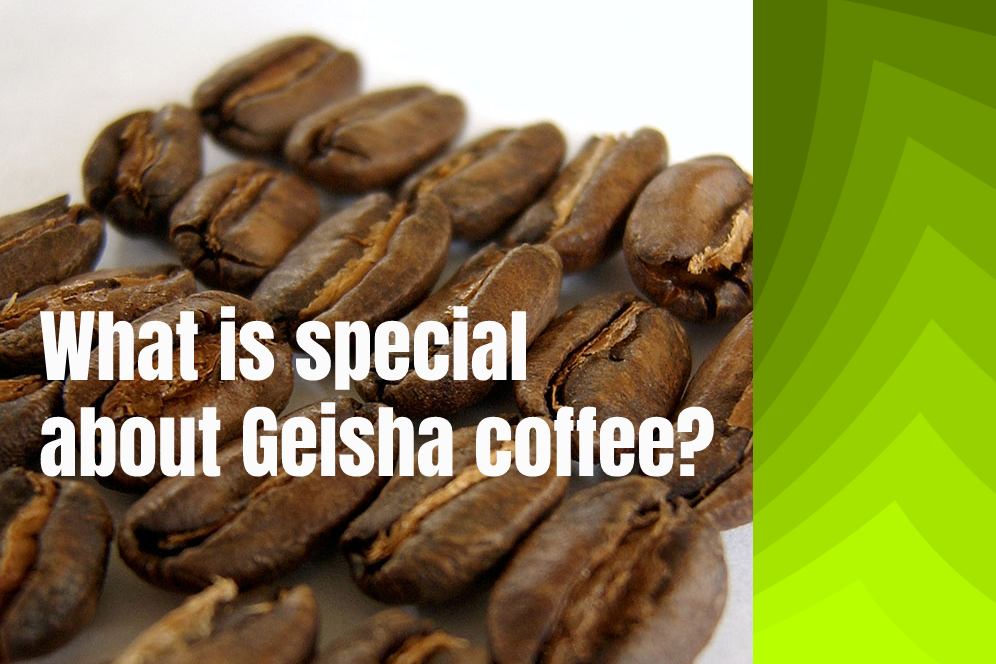 What is special about Geisha coffee?