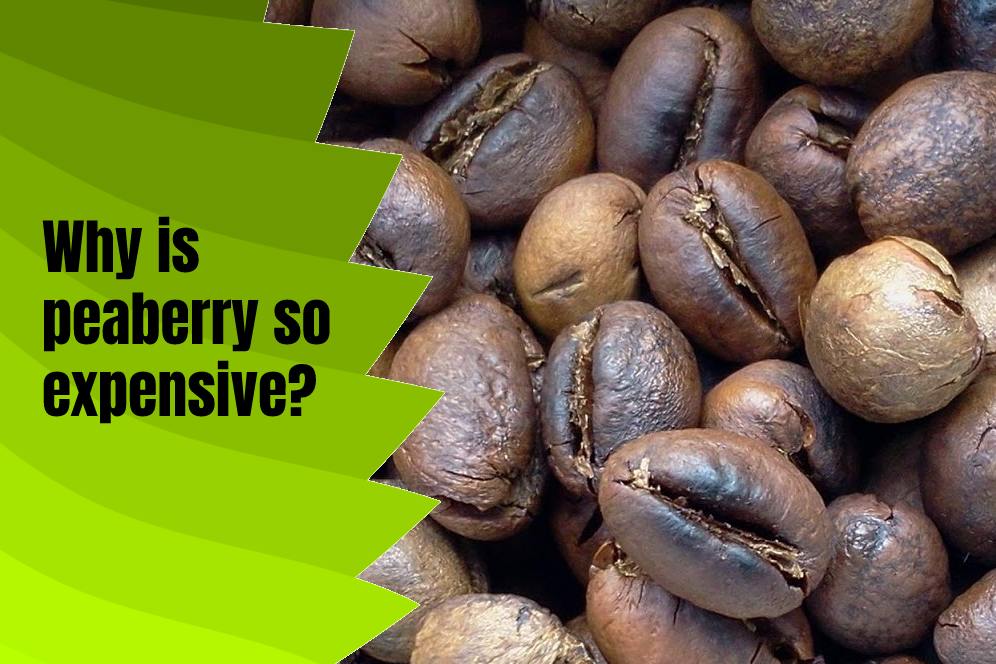Why is peaberry so expensive?