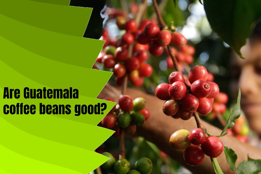Are Guatemala coffee beans good?