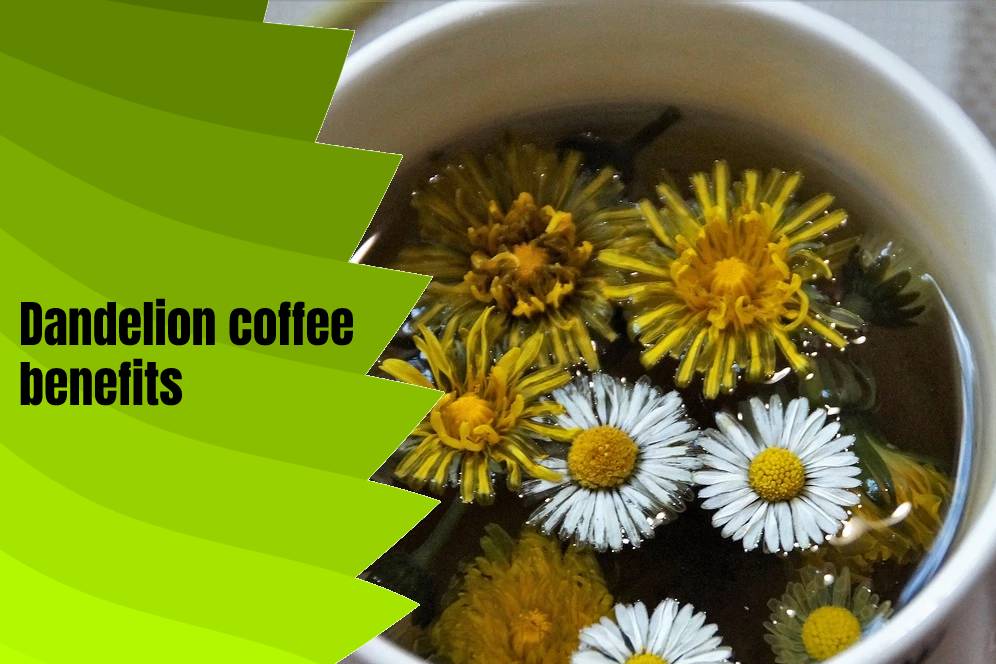 Dandelion coffee benefits