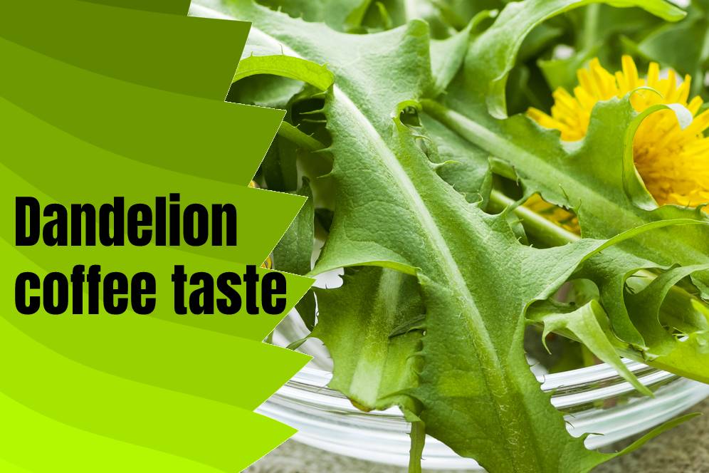 Dandelion Root Coffee Recipe