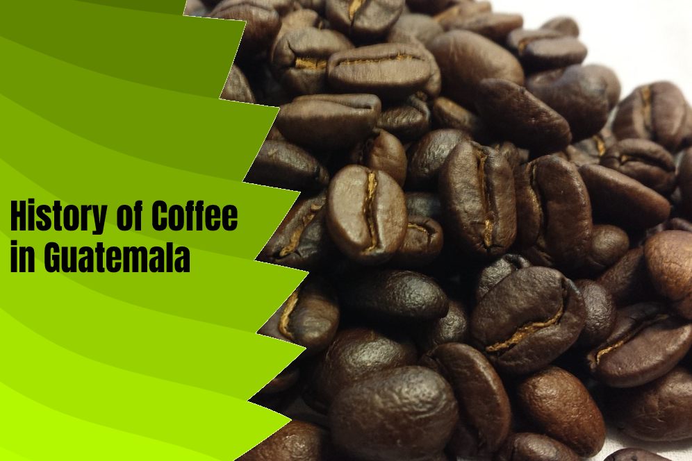history-of-coffee-in-guatemala 
