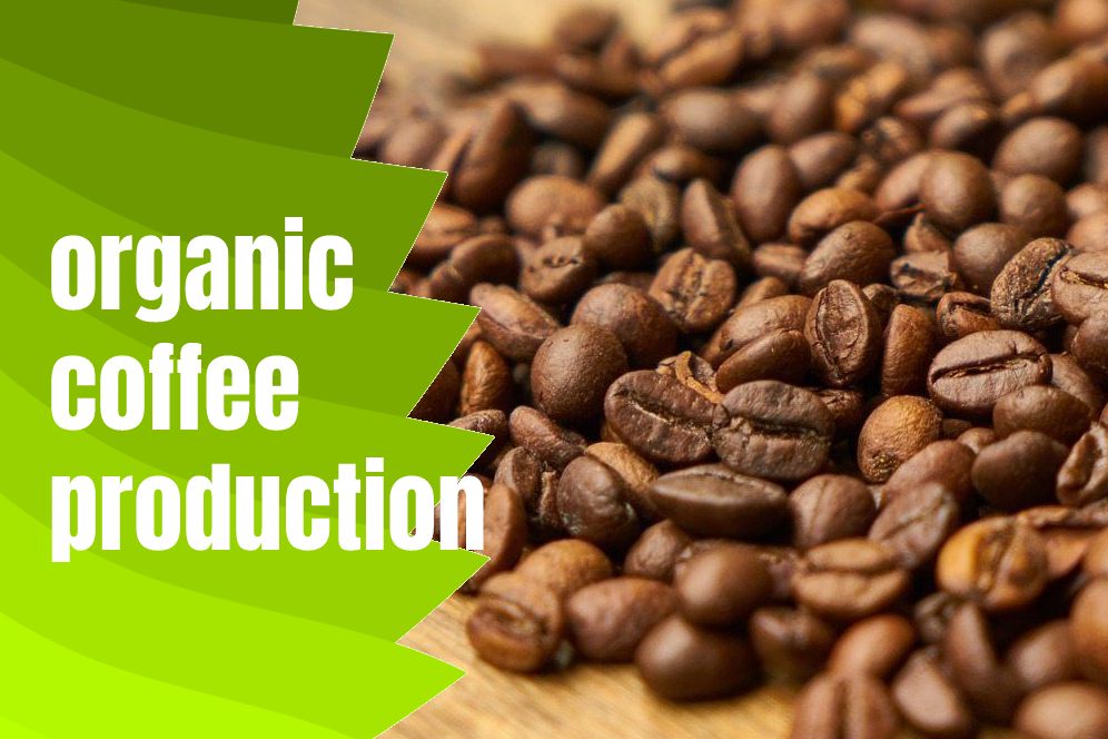 organic coffee production