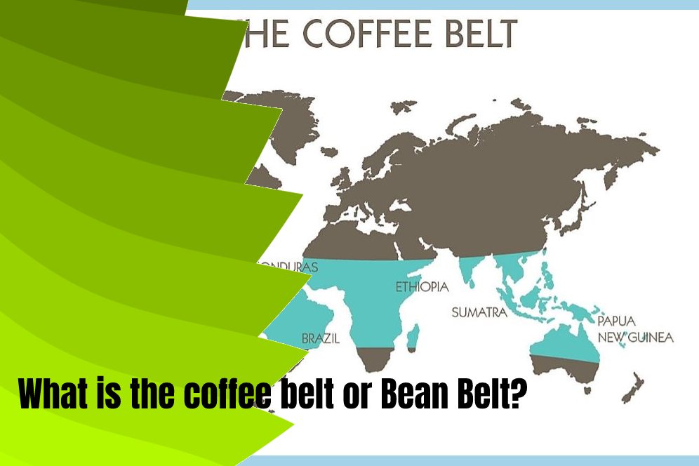 What is the coffee belt or Bean Belt? 