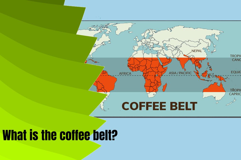 What is the coffee belt? 