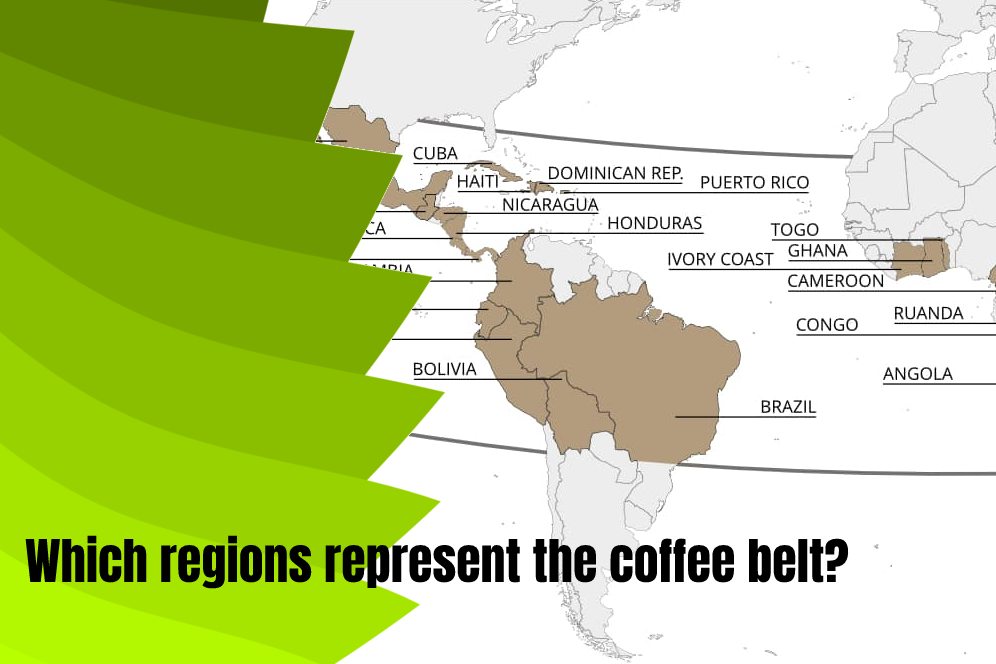 Which regions represent the coffee belt? 
